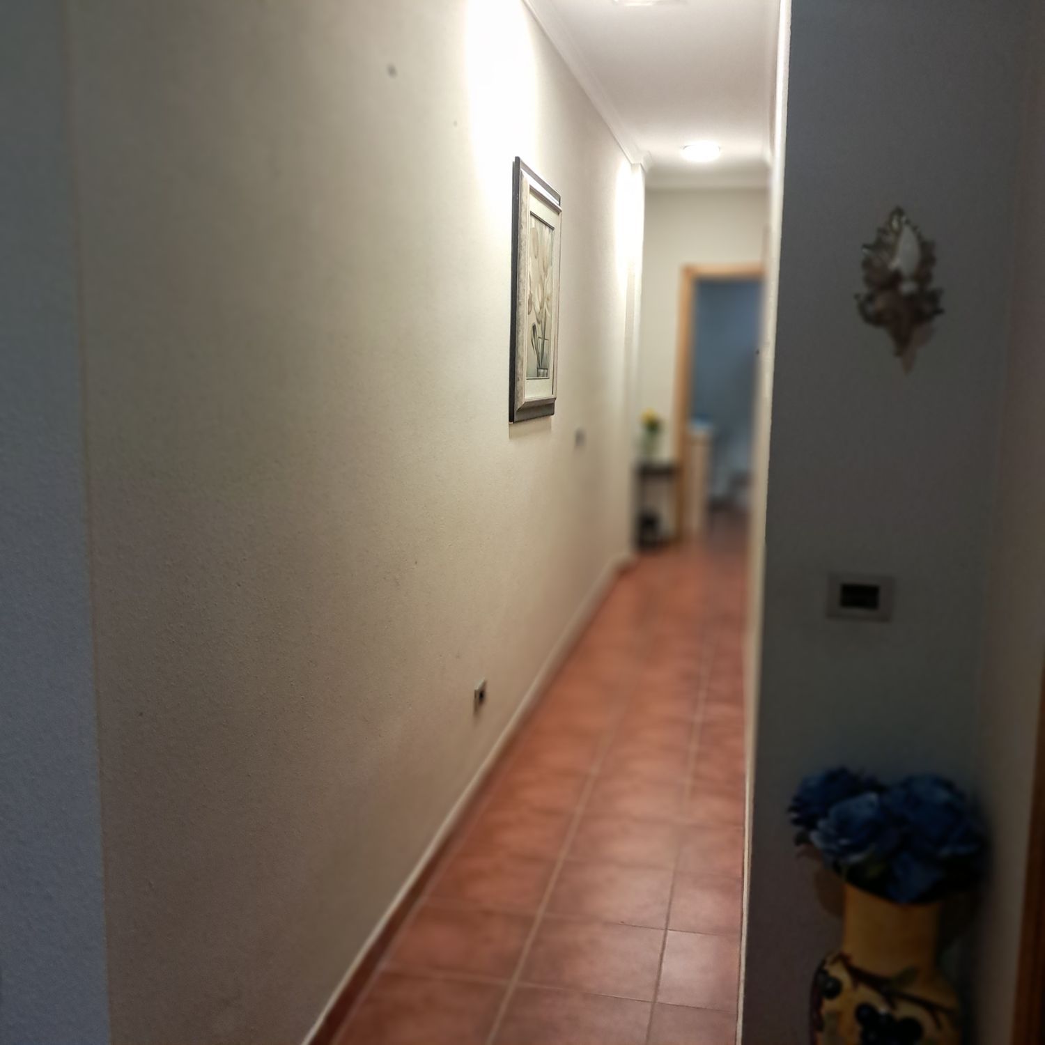 Piso en Calle San Agustín, 17, La Garita - Marpequeña, La Garita - Marpequeña - Foto 12