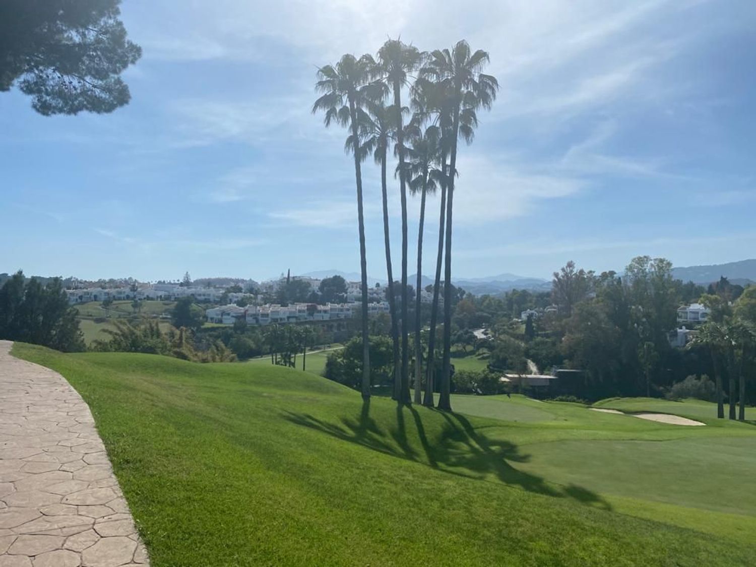 Piso en Urbanización Los Pinos de Aloha, 7 - Foto 15