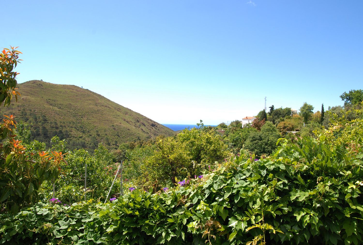 Casa independiente en calle Diseminado s/n sn - Foto 25