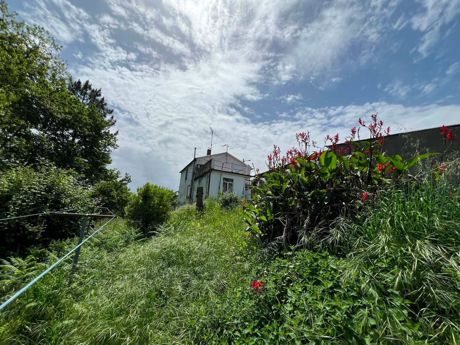Casa de pueblo en Pedros, 500 - Foto 11