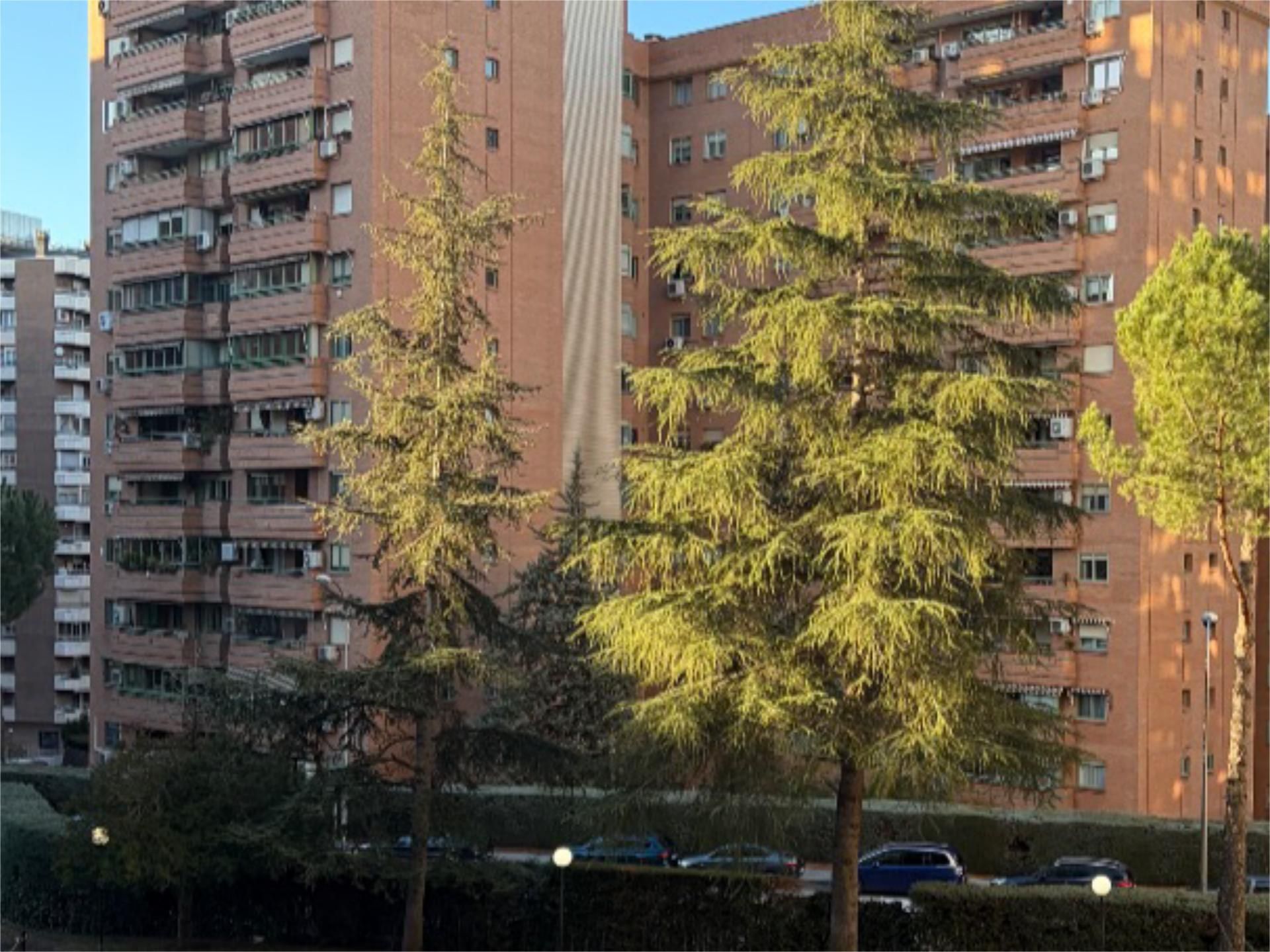 Piso en  Calle de Julio Palacios 29 - Foto 1