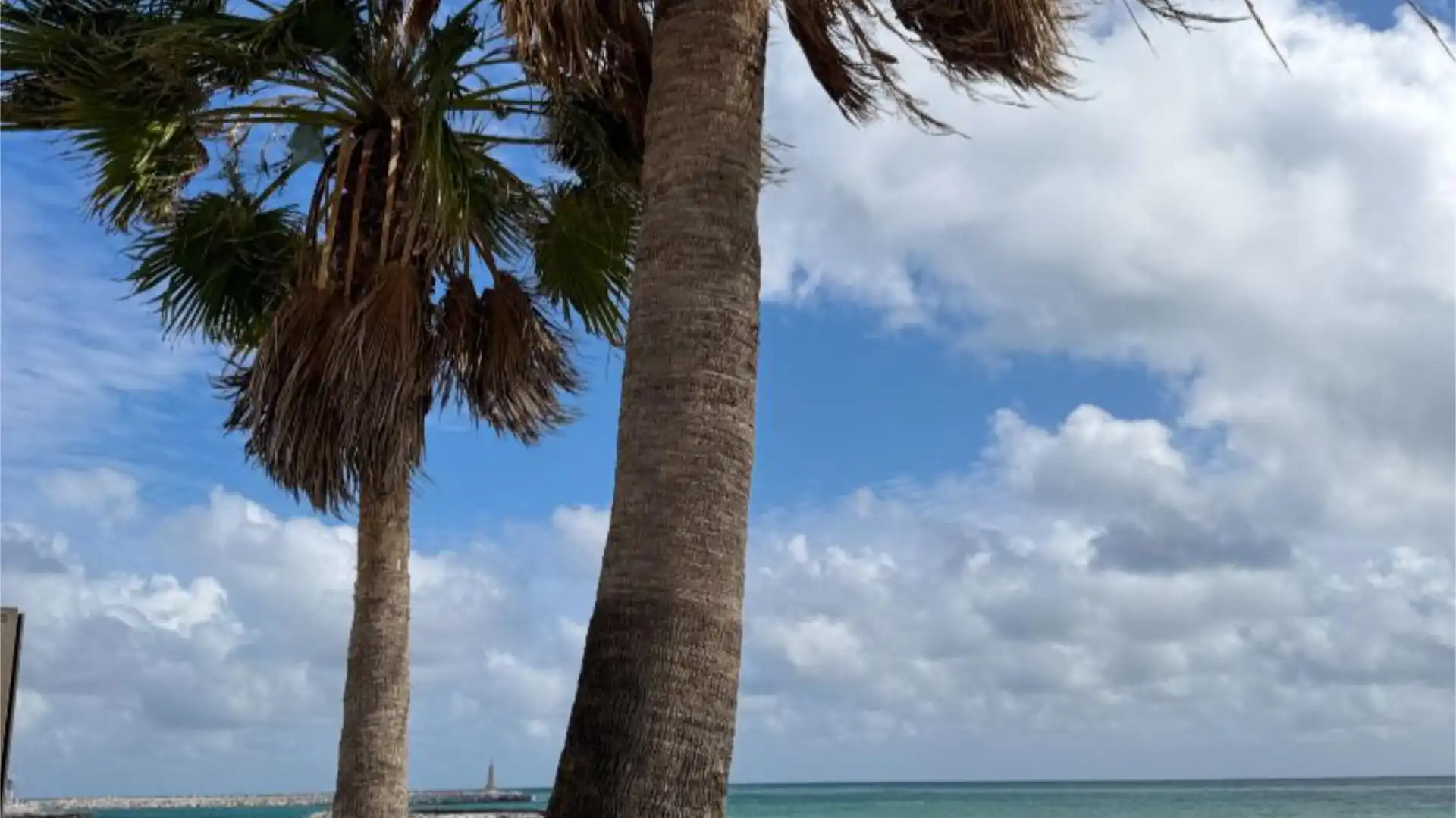 Apartamento en  Calle Irís 11 - Foto 37