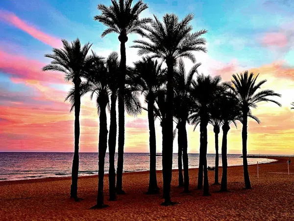 Chalet pareado en calle Oslo, 11 - Foto 33