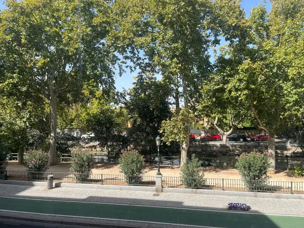 Piso en Via de Ramón Pignatelli, 51, Pinares de Venecia - Foto 12