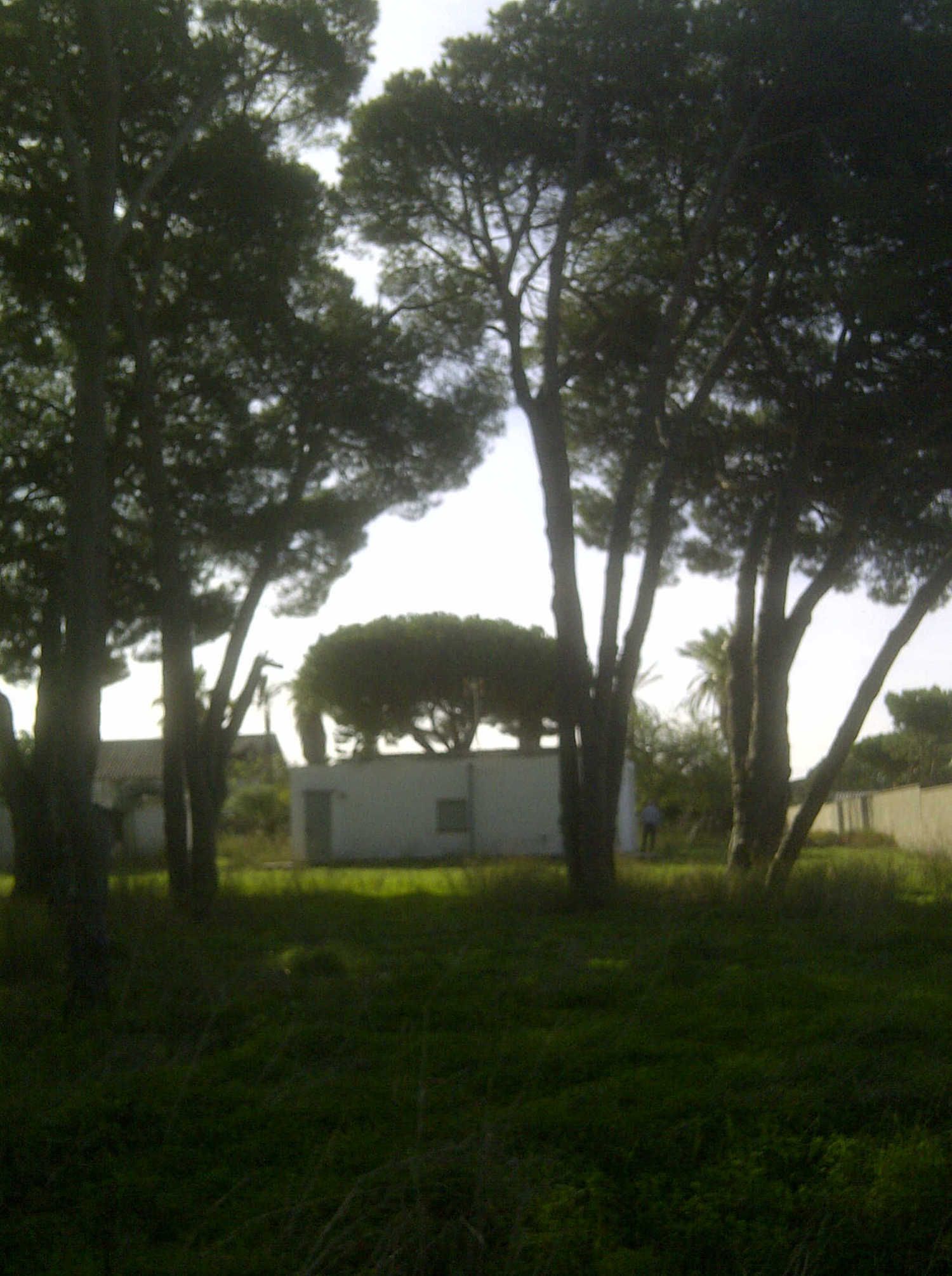 Casa independiente en calle Ceuta s/n - Foto 8