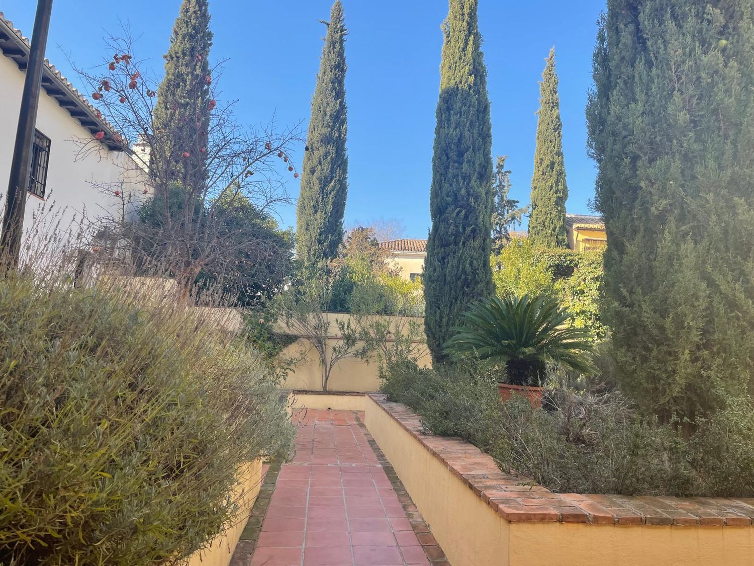 Dúplex en calle Horno del Vidrio, 16 - Foto 29