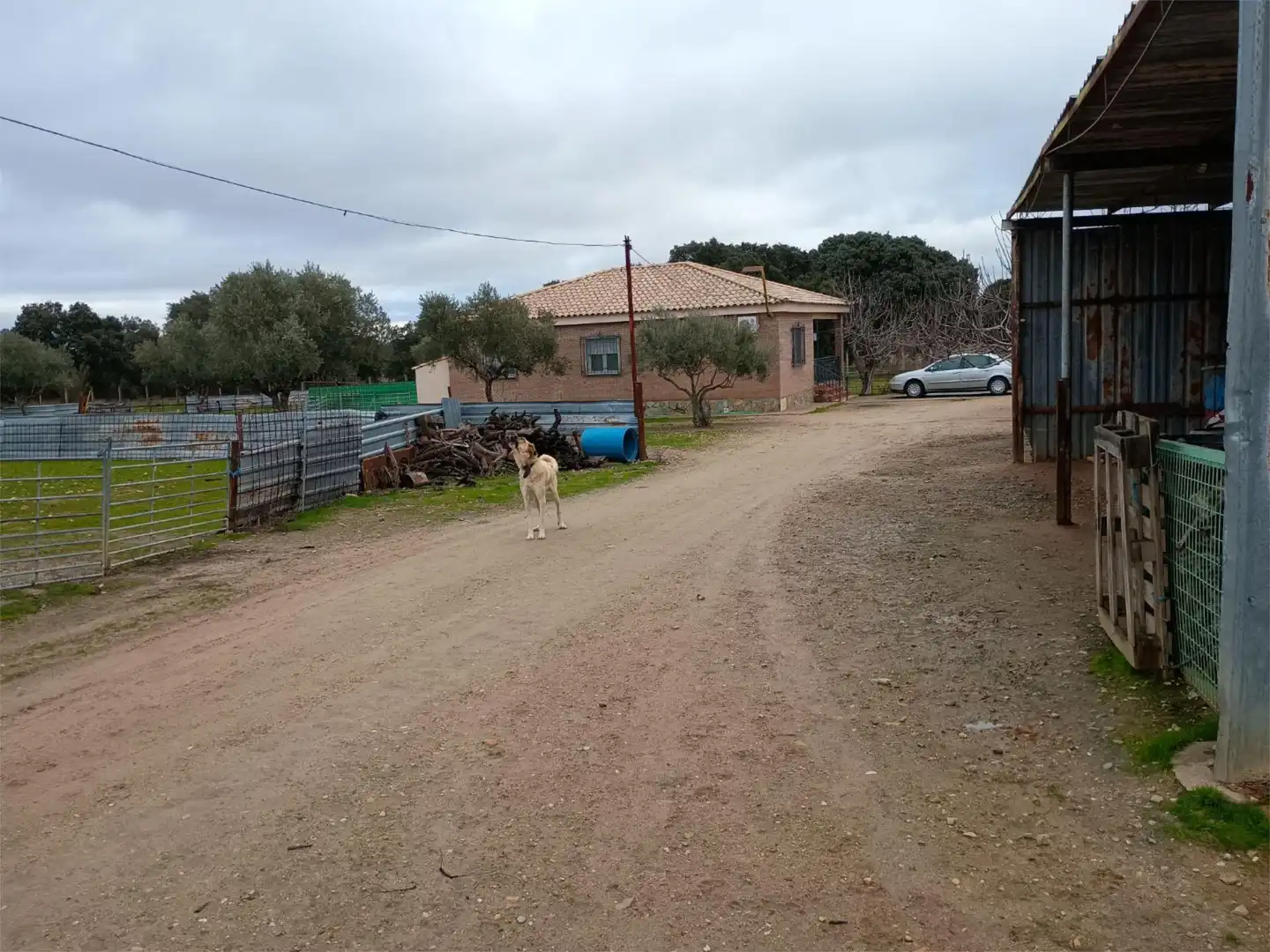 Finca rústica en  Calle del Cerrillo 4 - Foto 2