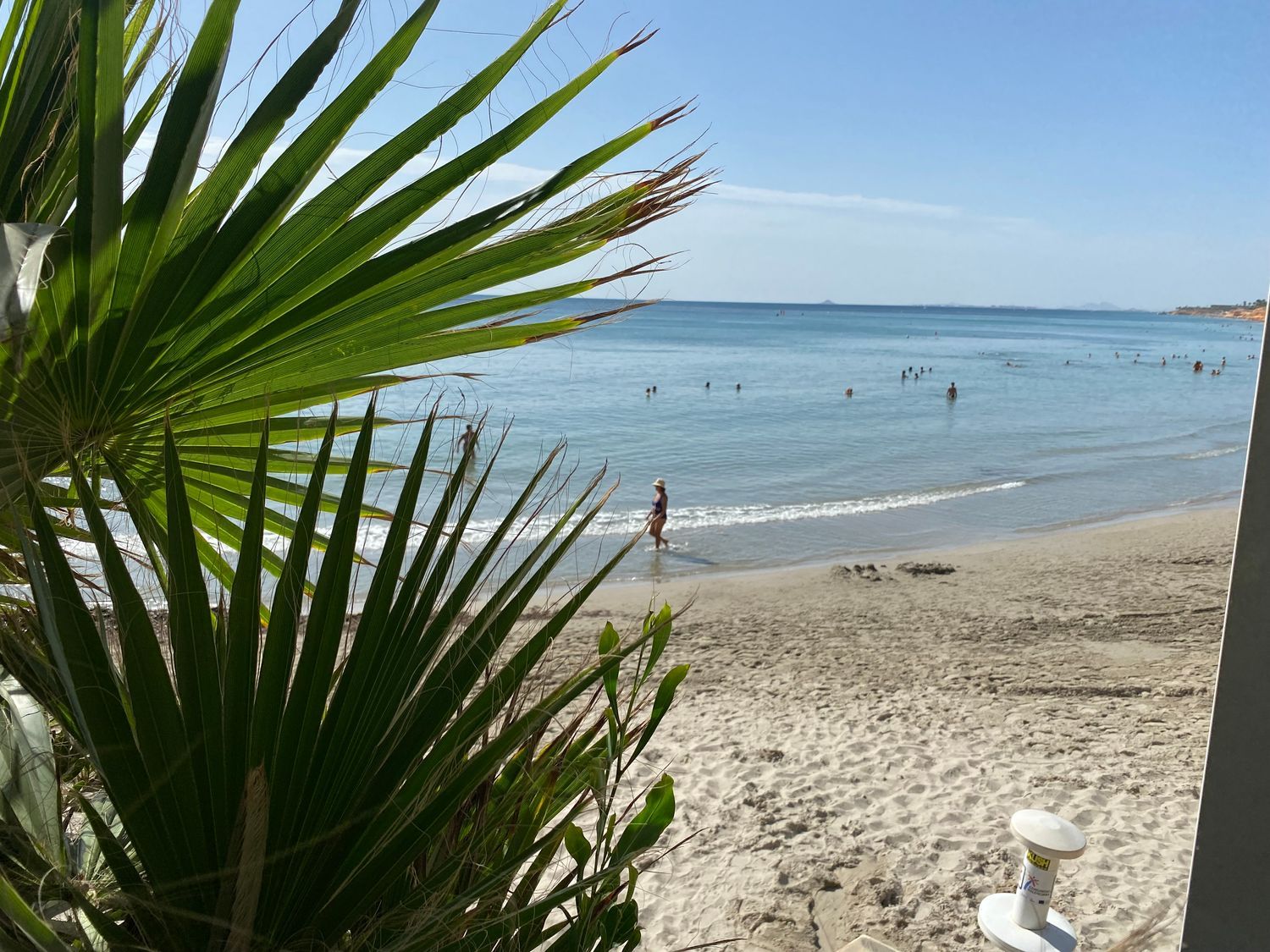 Piso en Calle Teodoro Llorente, 4, Campoamor - Foto 10