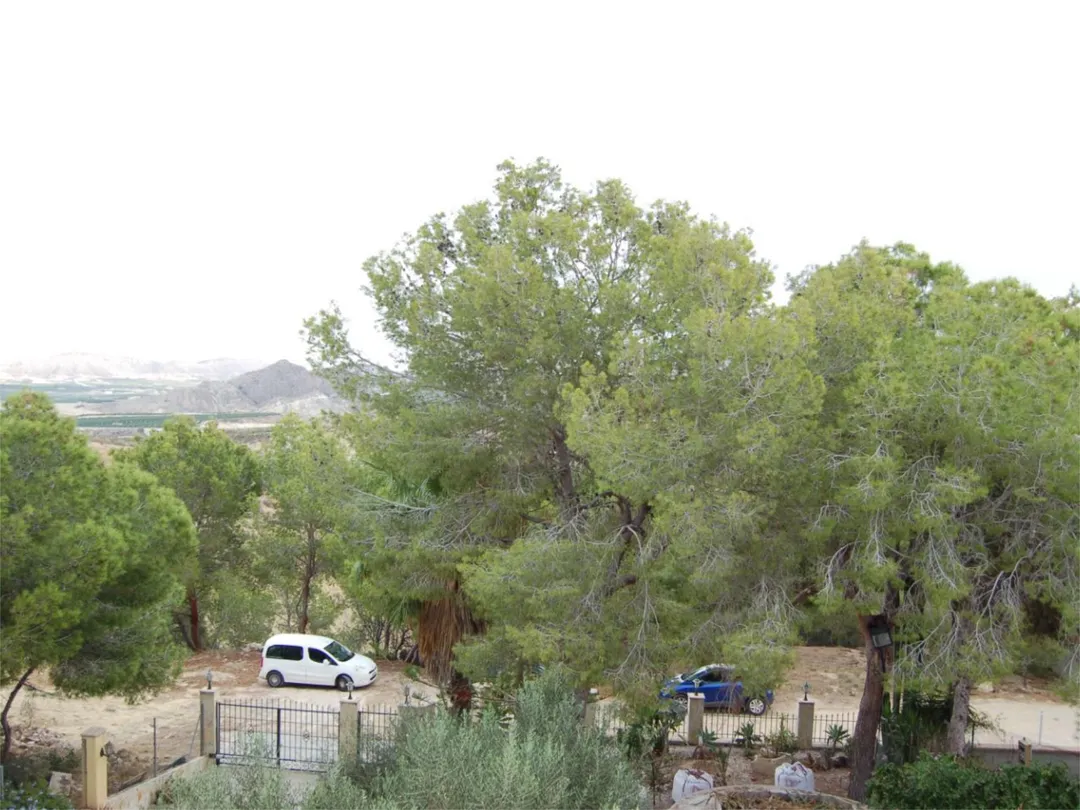 Chalet en  Urbanización la Pinada 37 - Foto 11