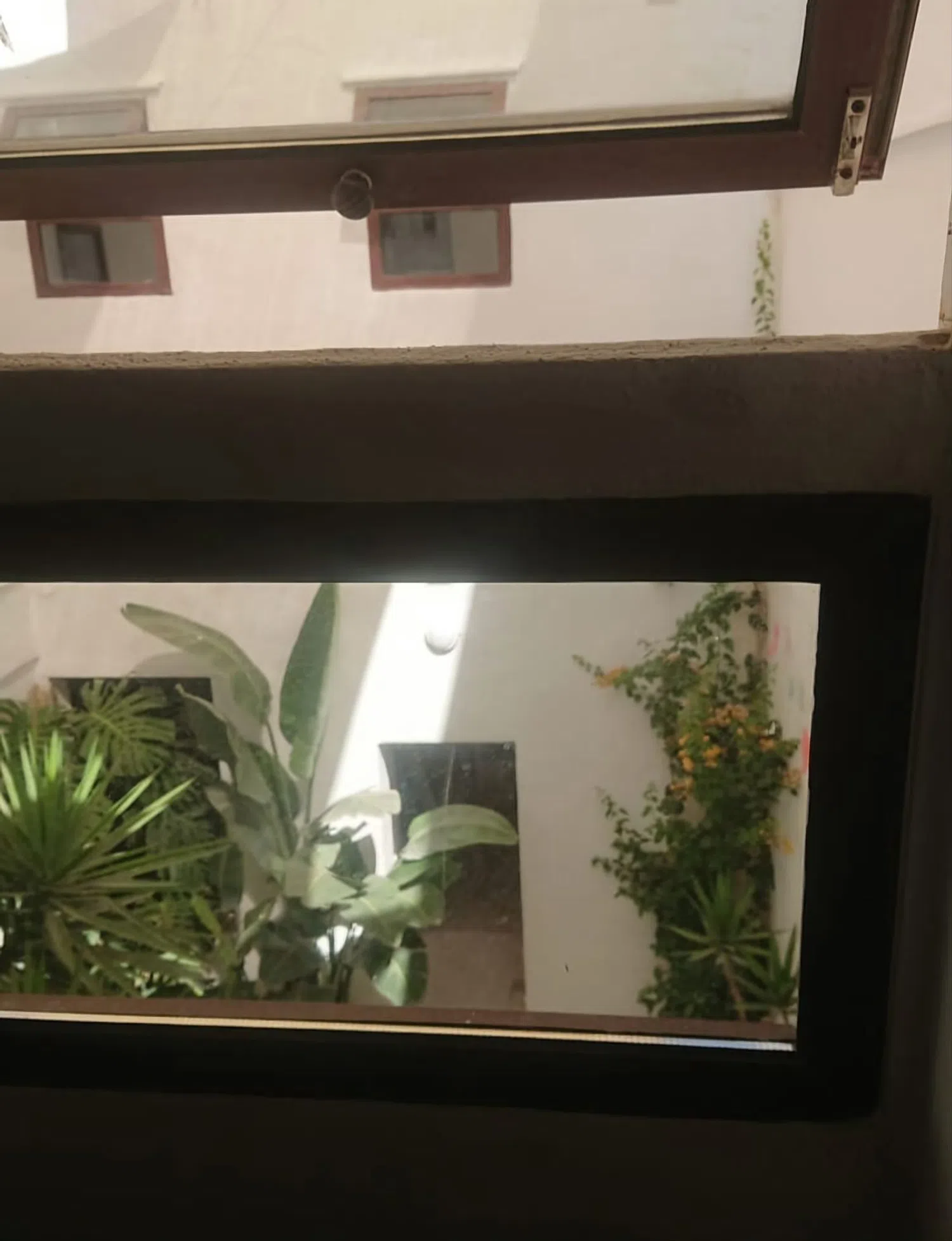 Estudio - Foto 11
