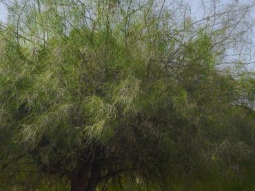 Estudio en  Calle Ingeniero Melchor de Luzón 13 - Foto 4
