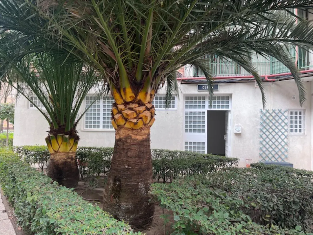 Piso en  Calle de San Marcelo 24