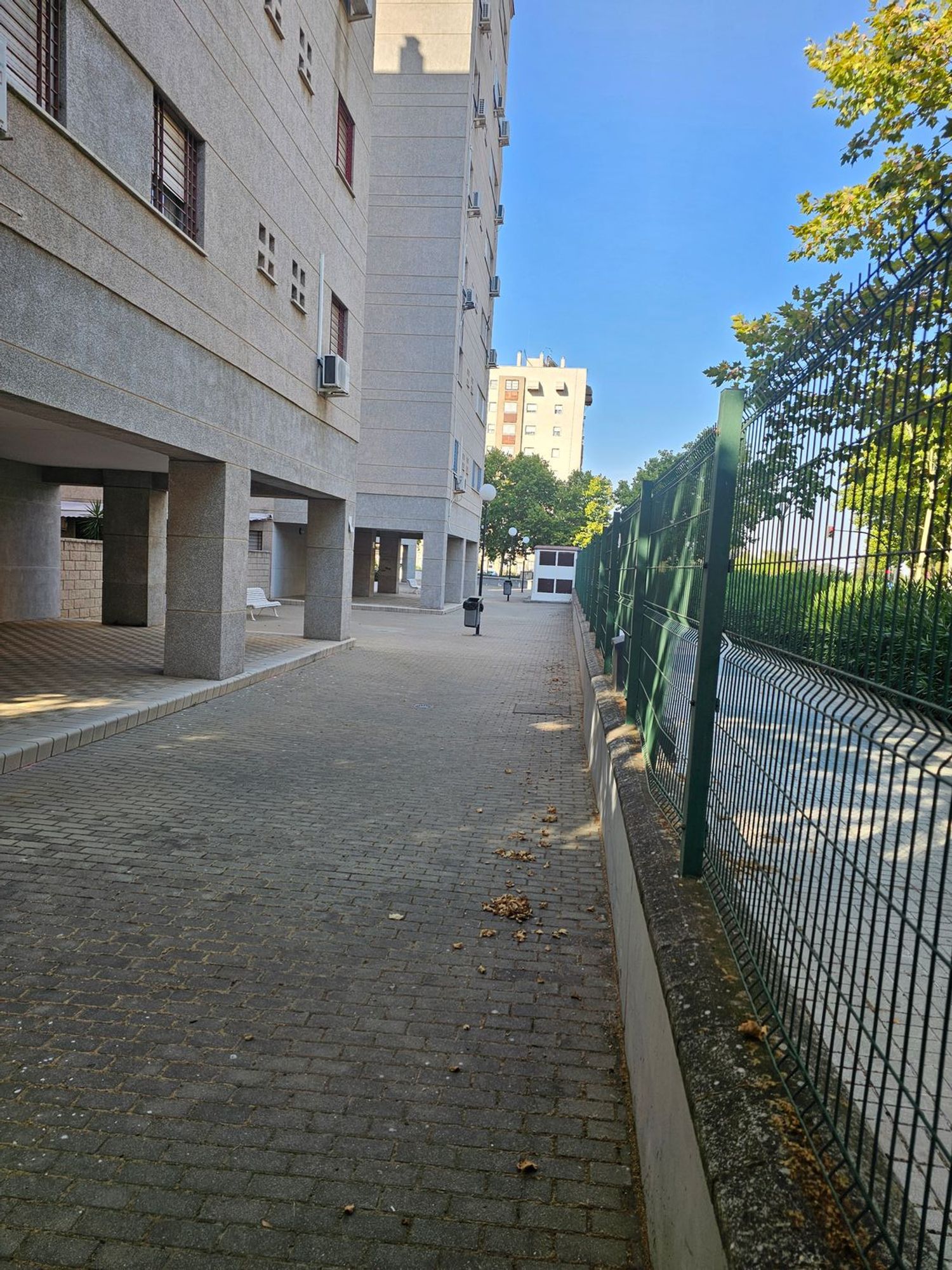 Piso en Calle Doctora Navarro Rodriguez, 6, Avenida de las Ciencias - Foto 15