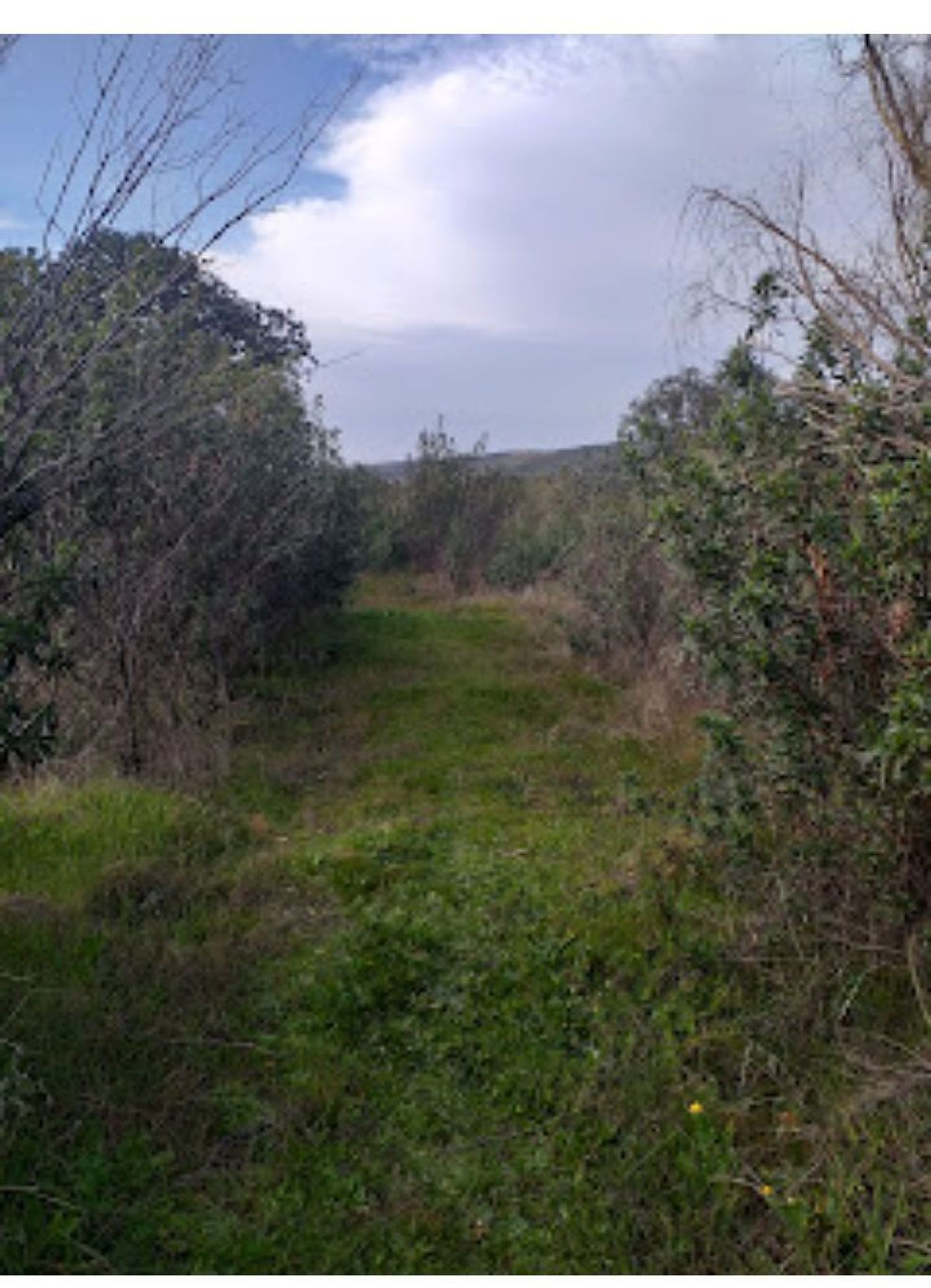Finca rústica en Sierra de Mampar s/n - Foto 13