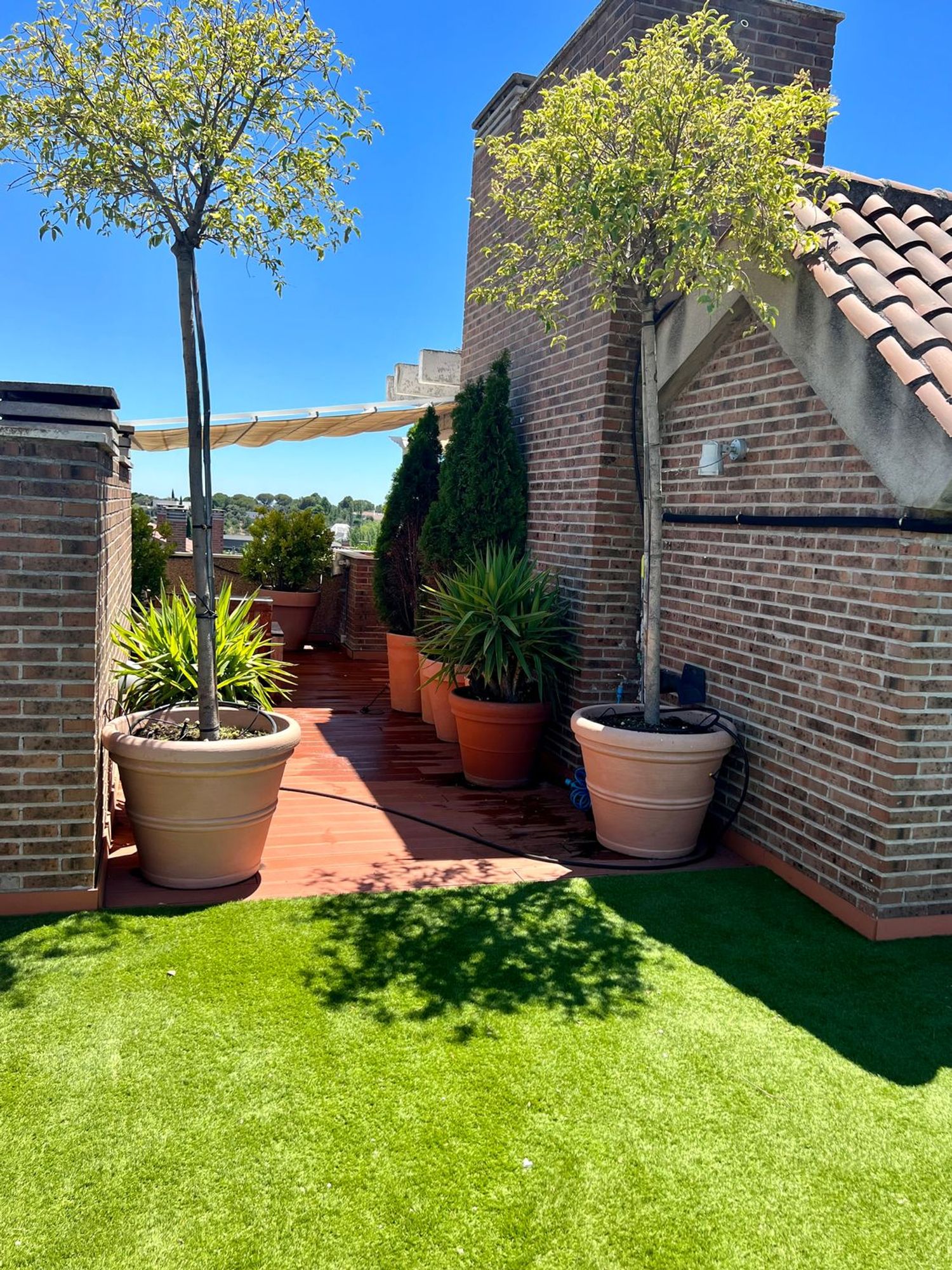 Dúplex en calle de la Begonia, 88 - Foto 5