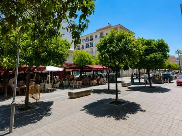 Piso en  Plaza del Caballo 5 - Foto 4