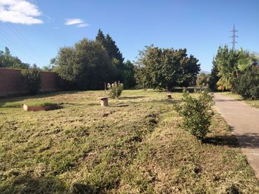 Finca rústica en  Paseo de La Rioja 50 - Foto 22