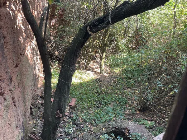 Casa de pueblo en Camino Villadangos, 24 - Foto 40