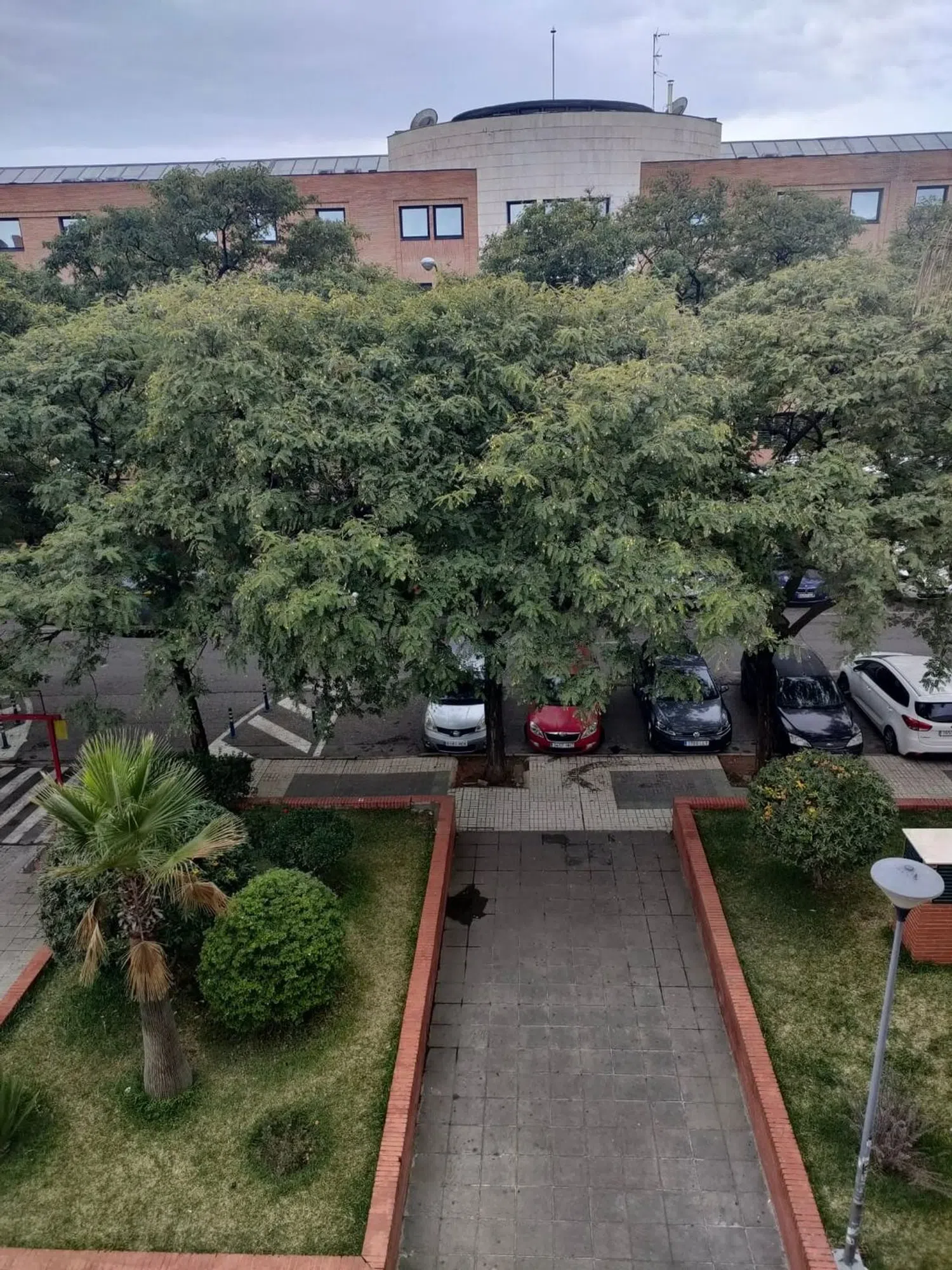 Estudio en calle Japón, 19 - Foto 11