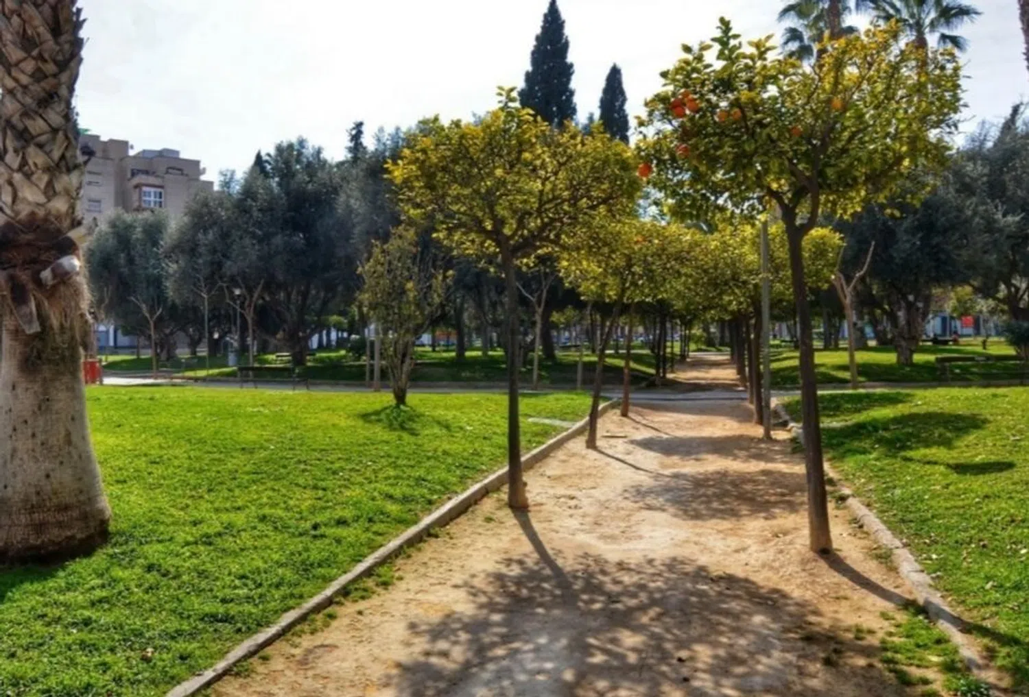 Piso en calle Agustín Lara, 13 - Foto 20