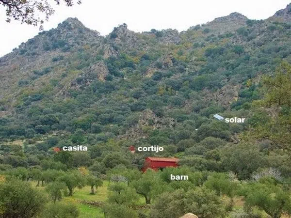 Finca rústica en Carretera Albalá del Caudillo s/n - Foto 5