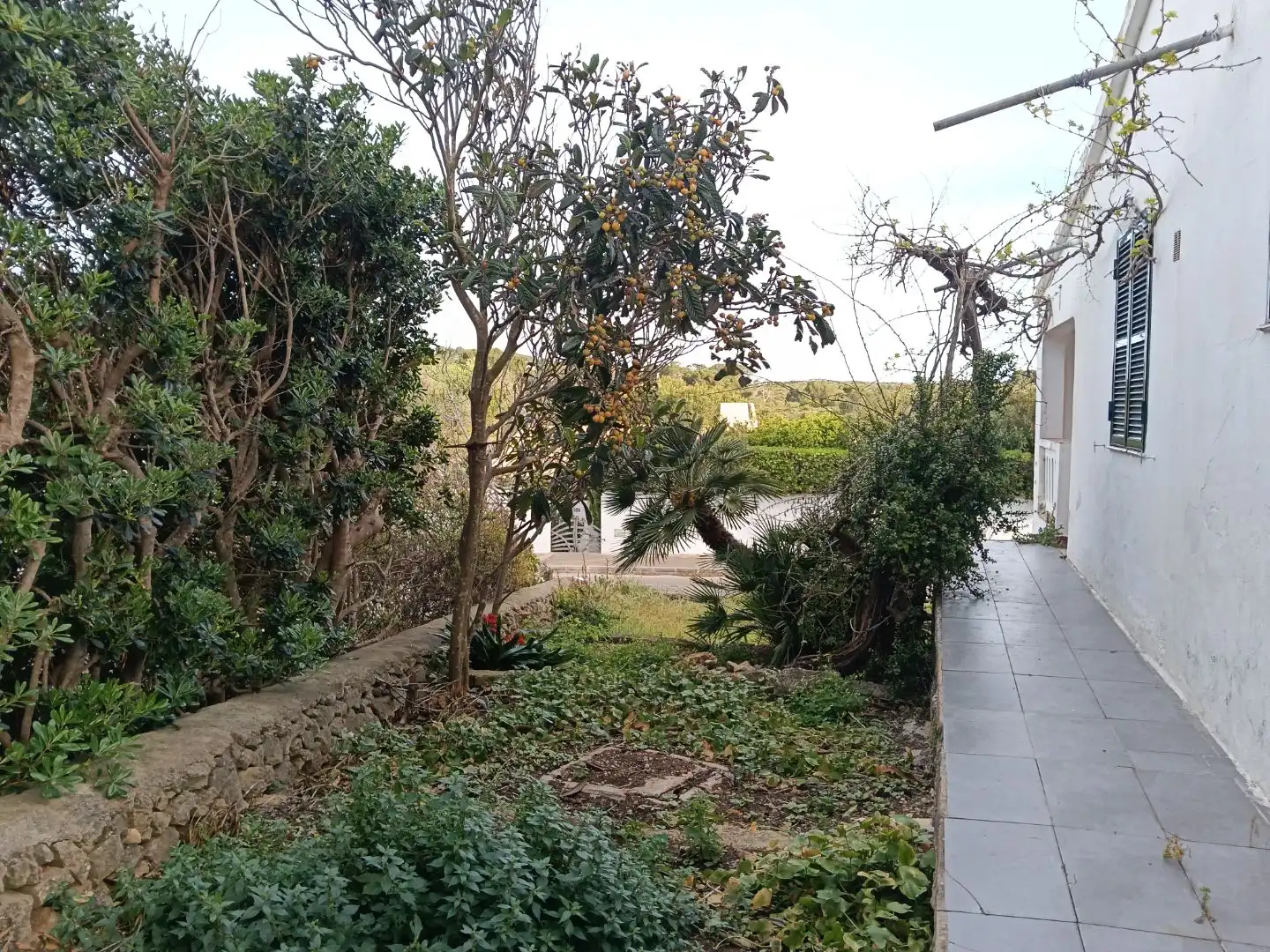 Finca rústica en  Carrer Cala Molí 112 - Foto 9