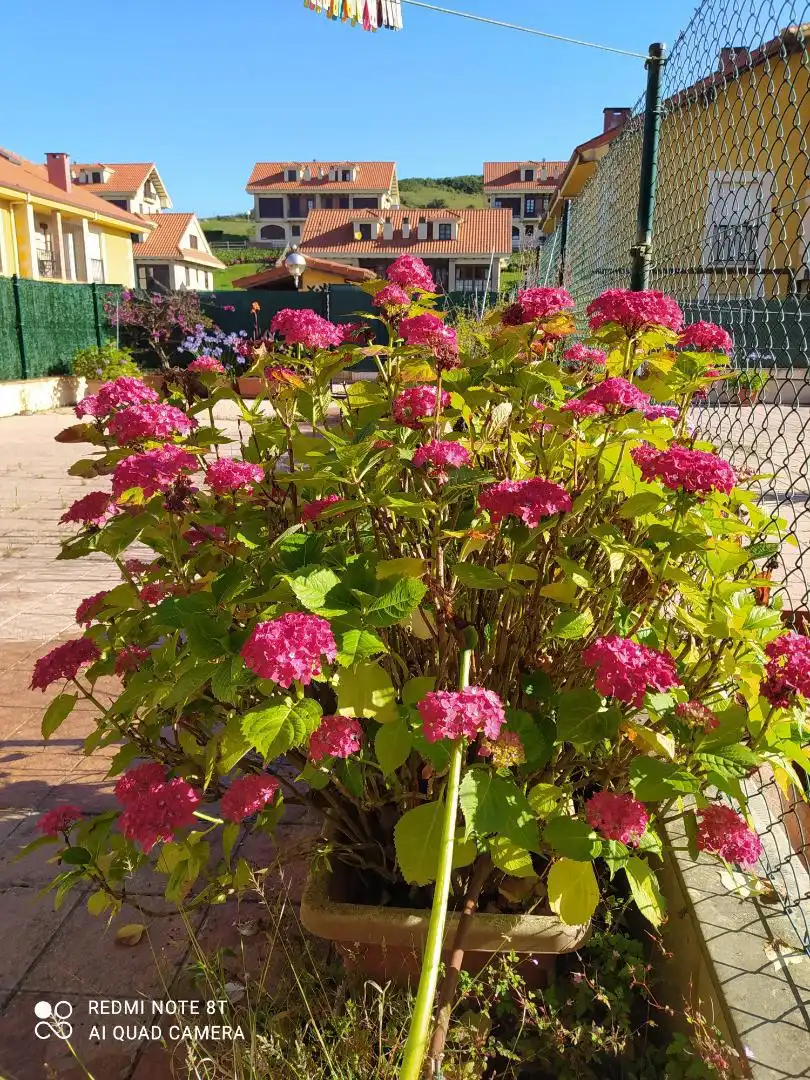 Piso en  Barrio Ruilobuca 47 - Foto 17