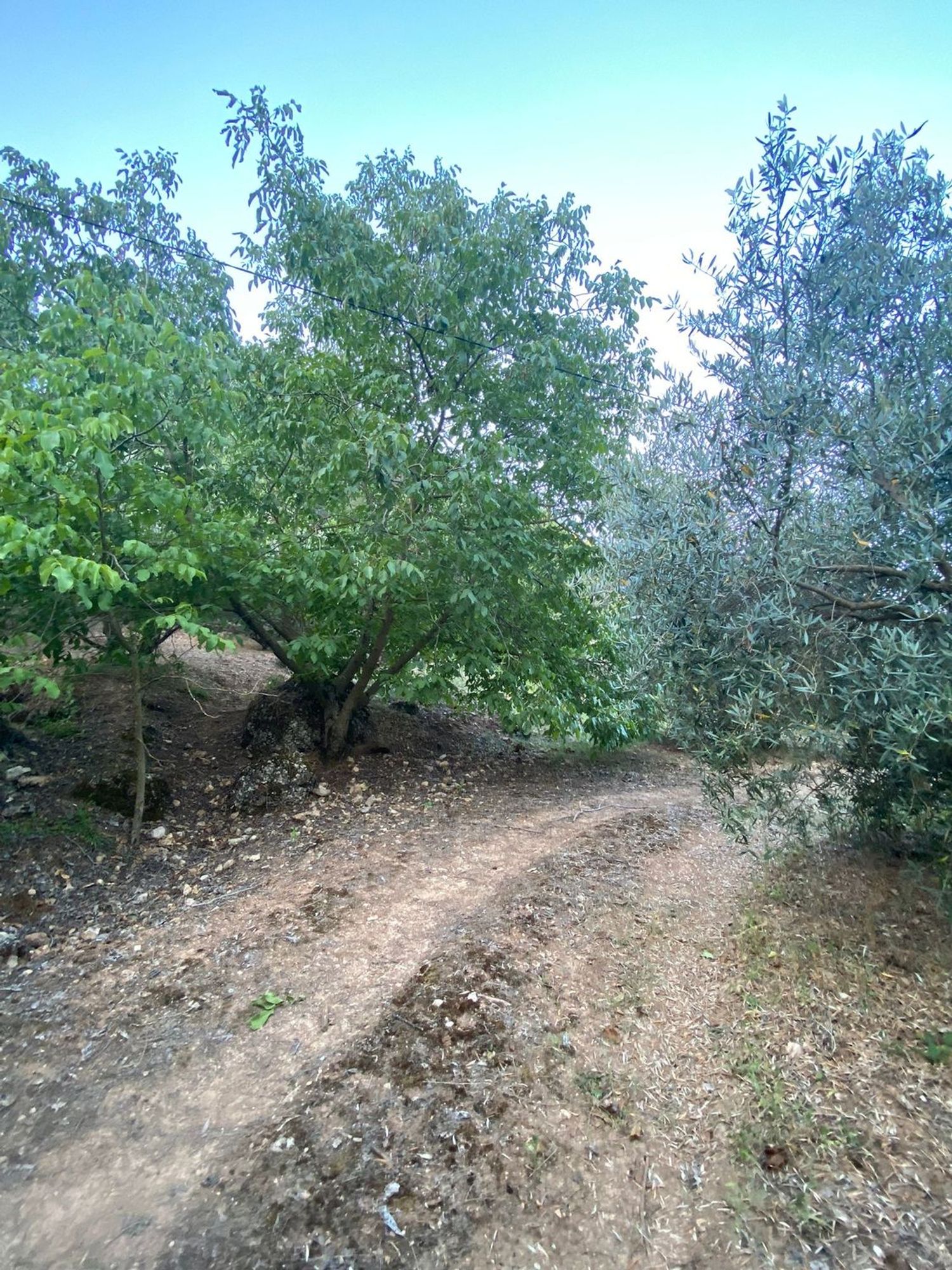 Finca rústica en Sn s/n - Foto 22