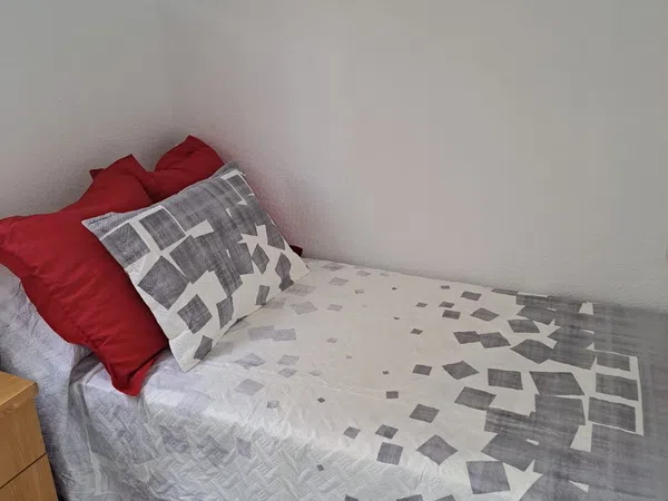 Piso en Av Blasco Ibáñez, Ciutat Jardí - Foto 34
