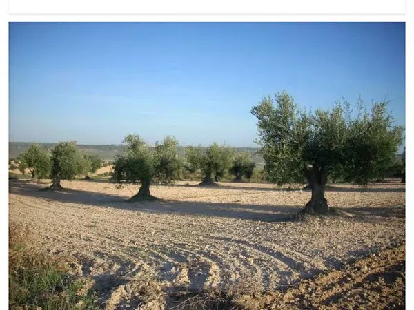 Finca rústica en Camino de San Galindo s/n - Foto 4