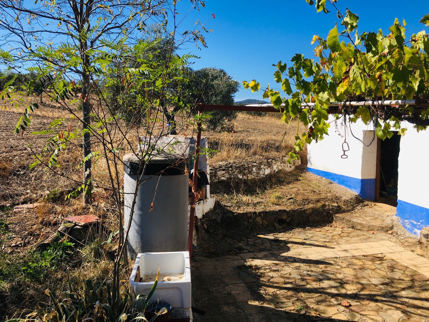 Finca rústica en Camino de las Alcobillas s/n - Foto 13