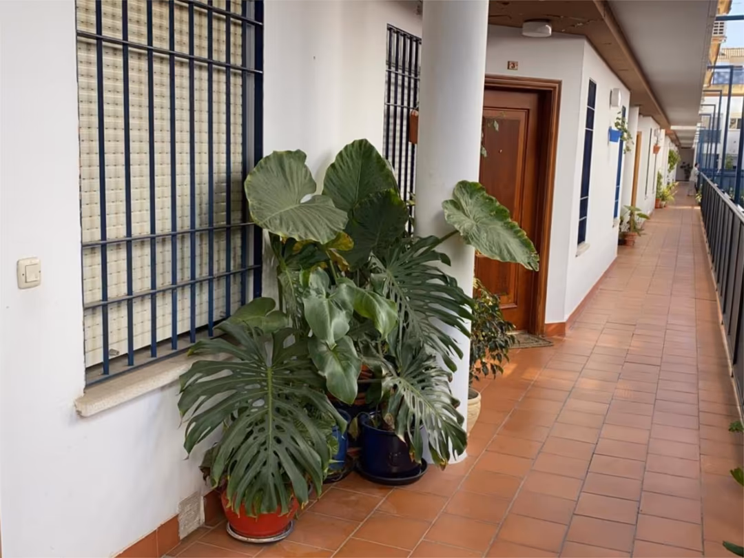 Piso en  Calle Barítono José M. Aguilar Blanco 4D