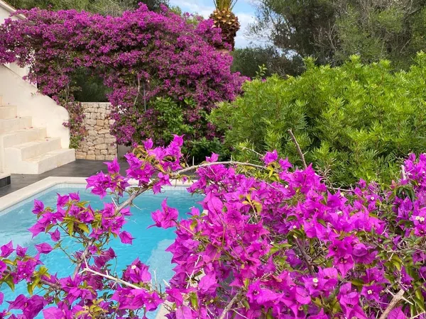 Casa o chalet independiente en Cala Murada, Cala Murada - Foto 37