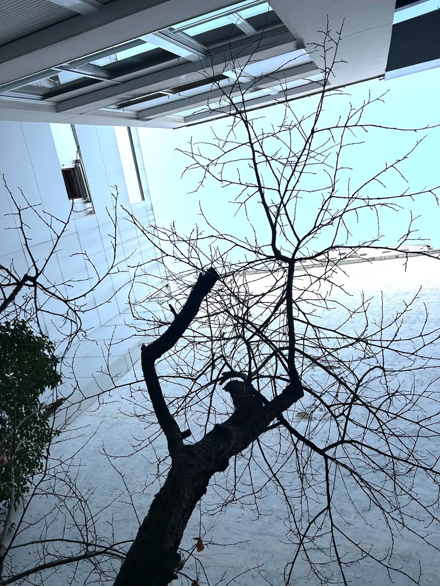 Dúplex en calle de Muñoz Torrero, 5 - Foto 6