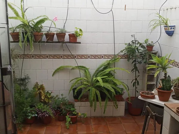 Casa independiente en calle del Arco, 2 - Foto 20