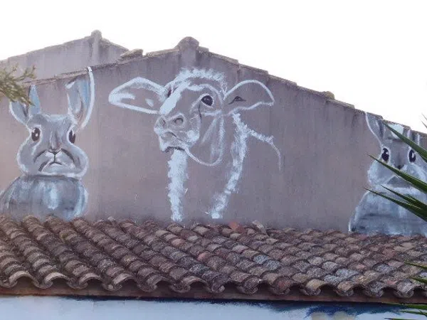 Masía en Masía en Camino salva-aigües, 96, Urbanizaciones, Urbanizaciones - Foto 21