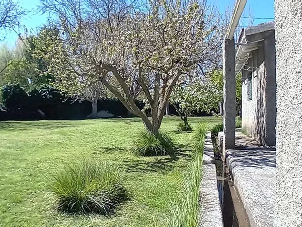 Finca rústica en Extramuros s/n - Foto 7