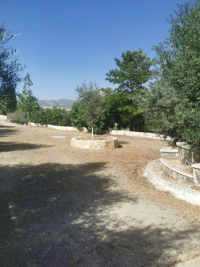 Finca rústica en  Plaza Llanete de Arriba 2 - Foto 5
