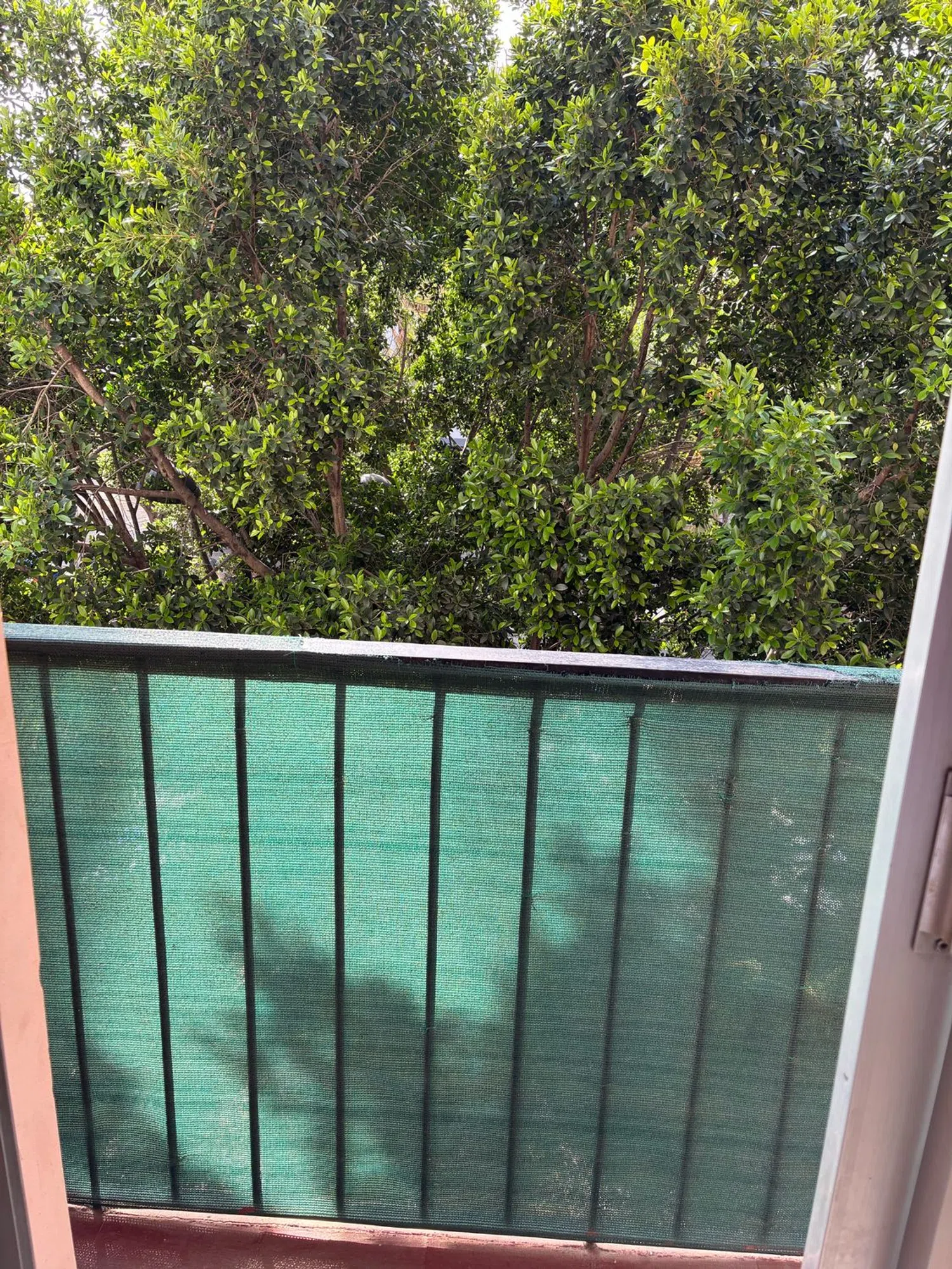 Piso en calle de Ruaya, 18 - Foto 14