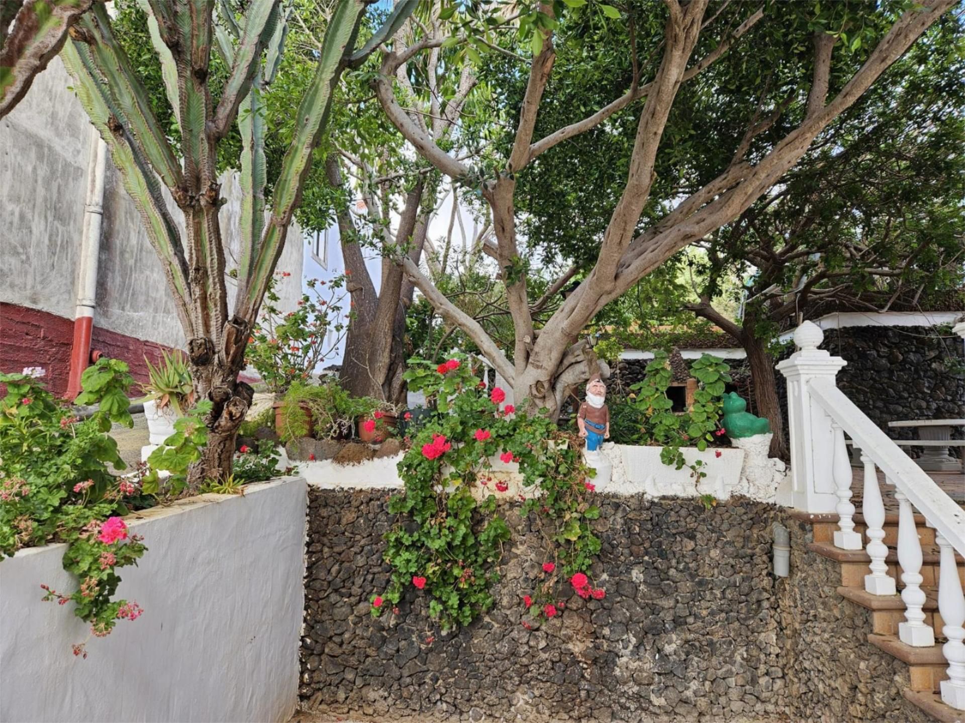 Planta baja en  Lugar Lomo el Diviso 21 - Foto 1