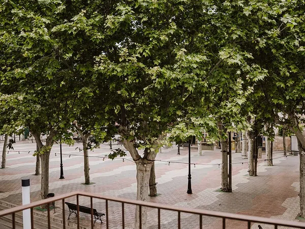 Piso en Plaza de la Vila, 2, Santa Margalida, Santa Margalida - Foto 18