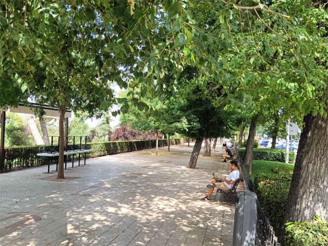 Apartamento en paseo del Pintor Rosales 52 - Foto 20