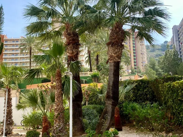 Piso en calle de Viena, 1 - Foto 6