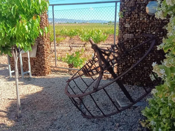 Casa rural en Camino de Vacía Cubos, 13250 - Foto 15