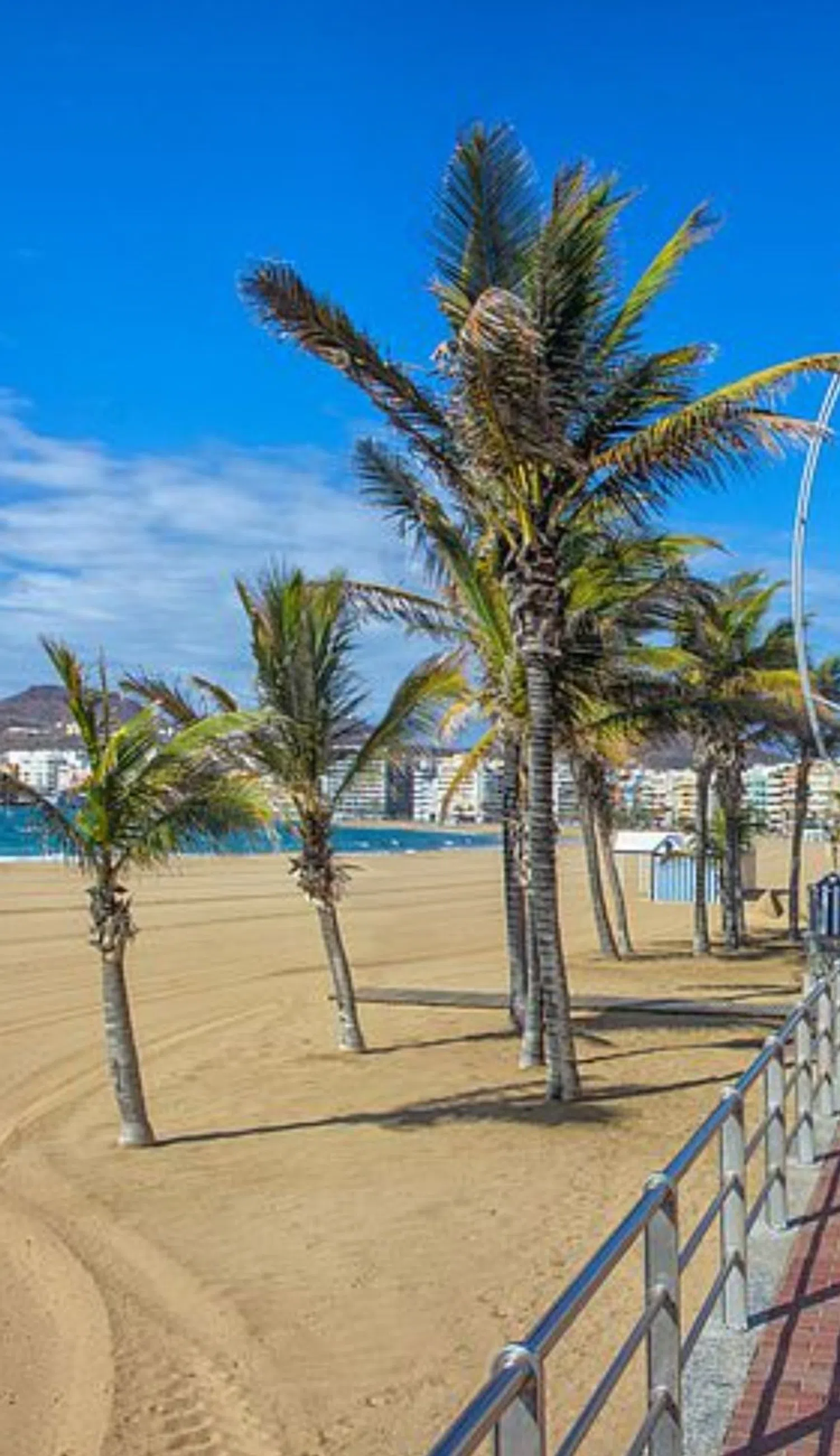 Piso en Luis Morote, 35 - Foto 25