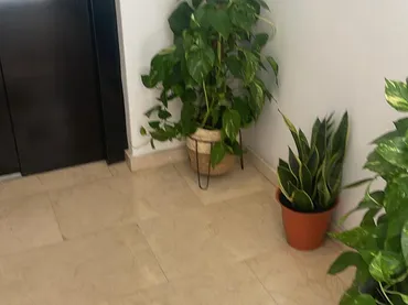 Piso en  Calle Andrómeda 32 - Foto 1