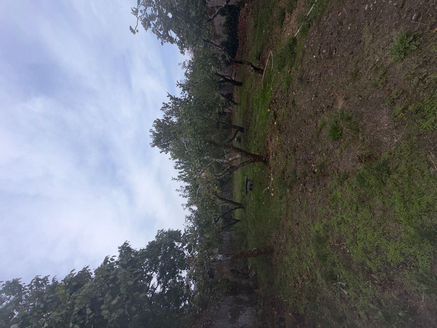 Casa de pueblo en Carretera Amiudal, 47 - Foto 4