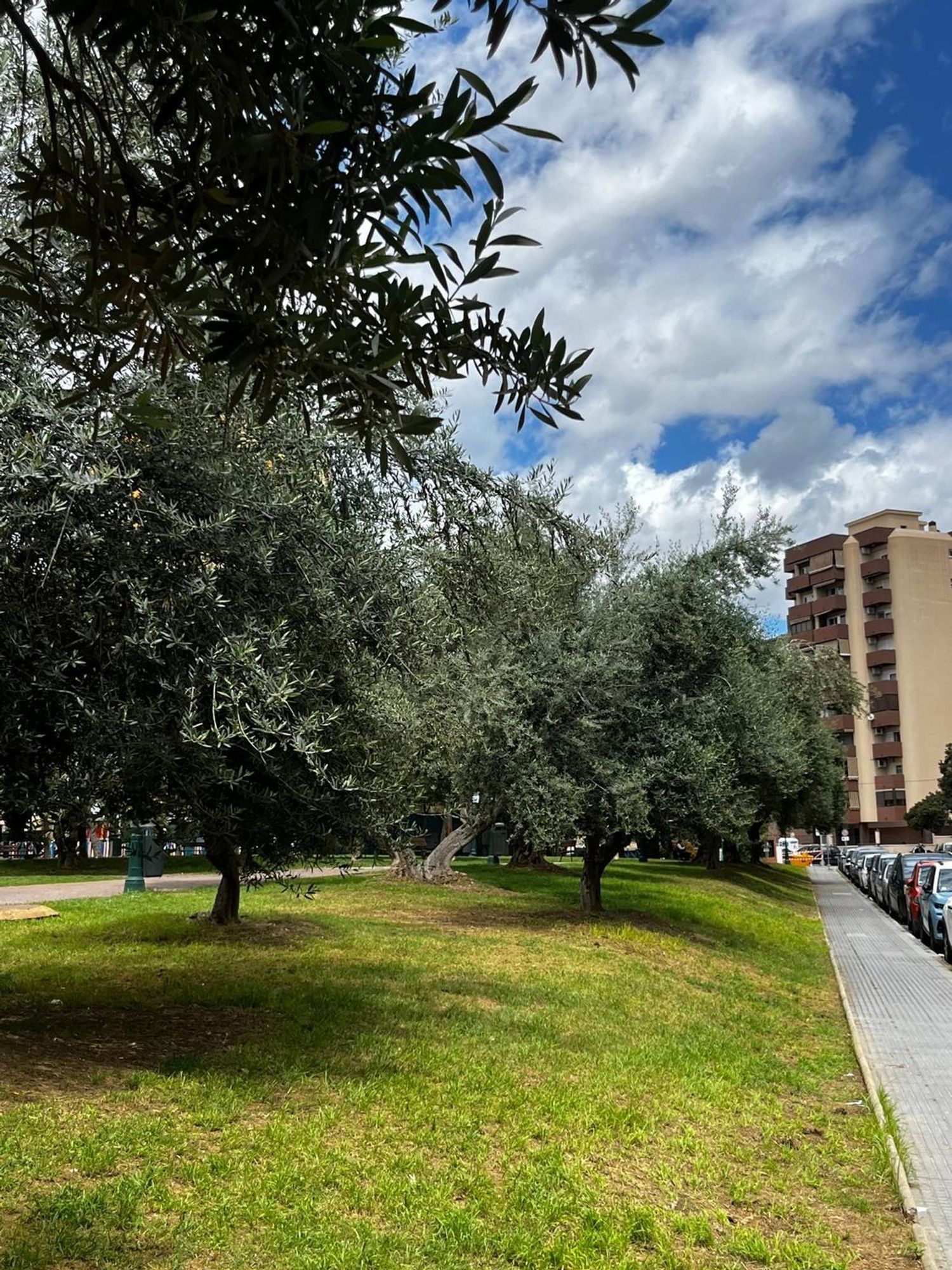 Piso en Calle Martínez Maldonado, 74 - Foto 16