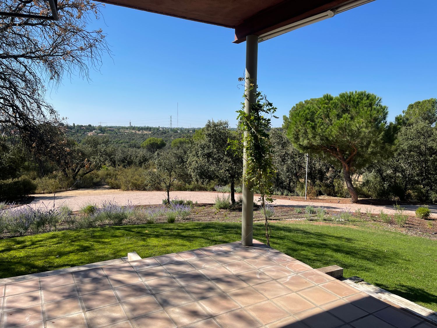 Casa o chalet independiente en Escorzonera, Monteclaro - Foto 46