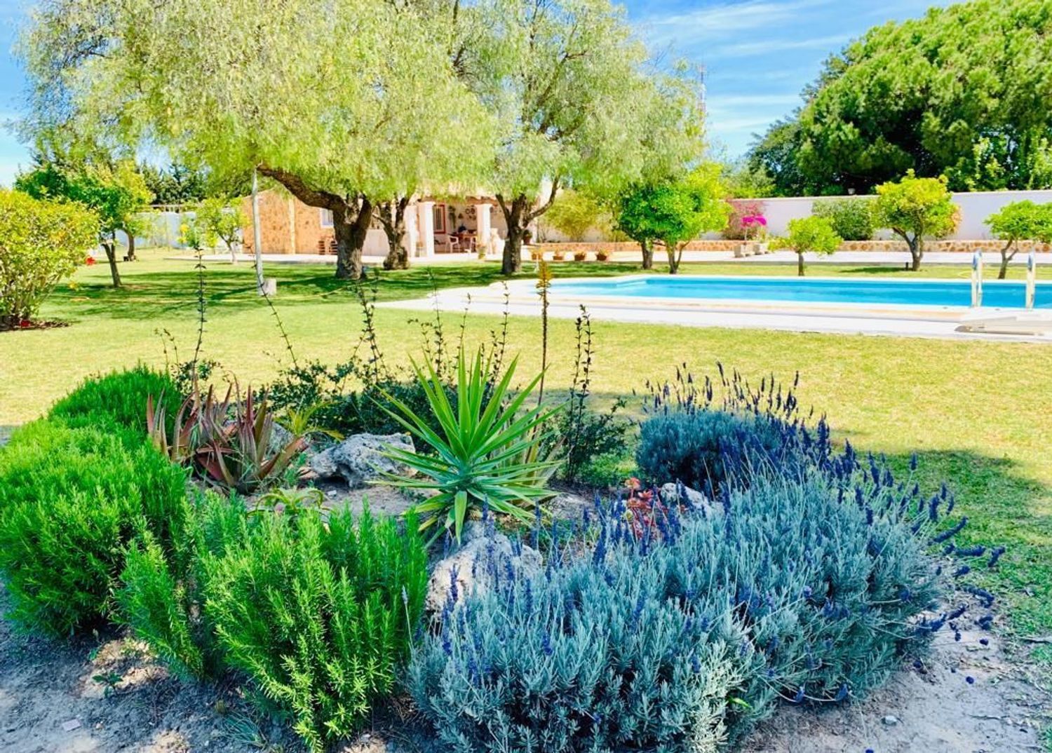 Casa o chalet independiente en Camino de Torre Alta, 118, Las Canteras - El Almendral, Las Canteras - El Almendral - Foto 4